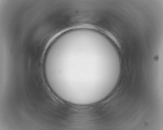 X0000095111364200712070909