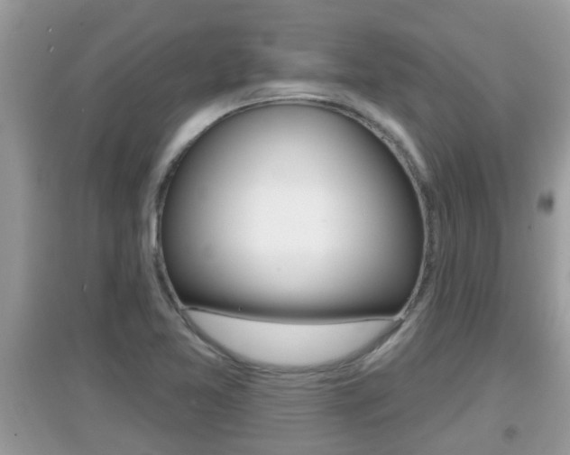 X0000095111365200712070909
