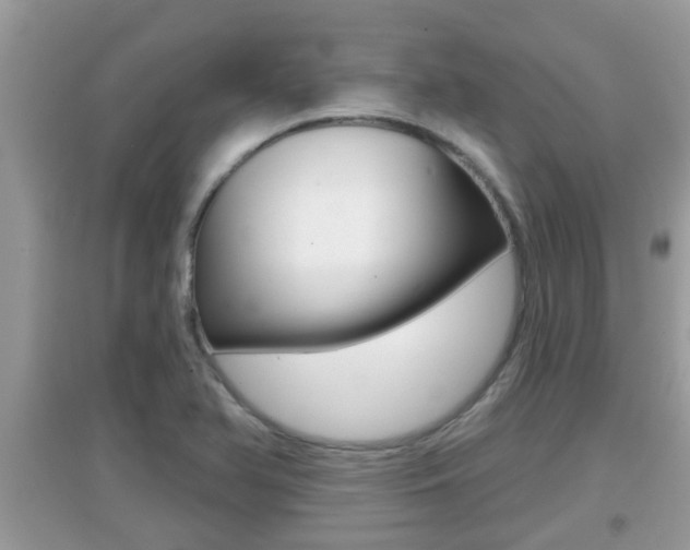X0000095111366200712070909
