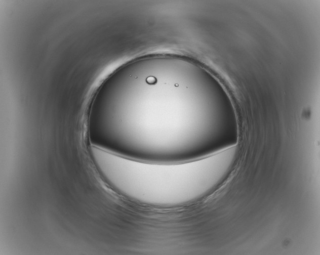 X0000095111367200712070909