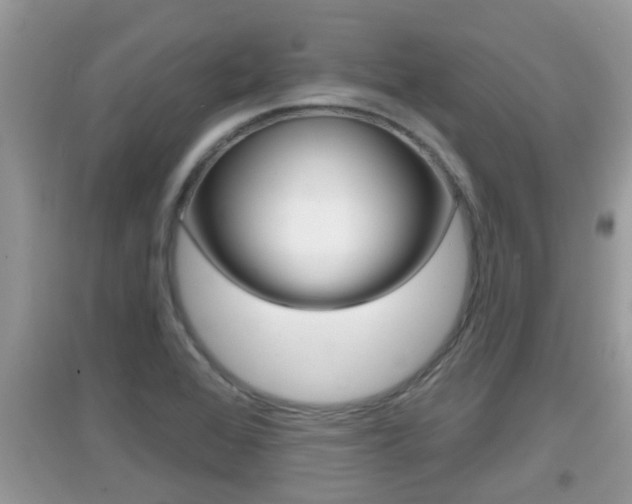 X0000095111368200712070909