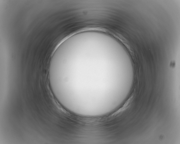 X0000095111369200712070909