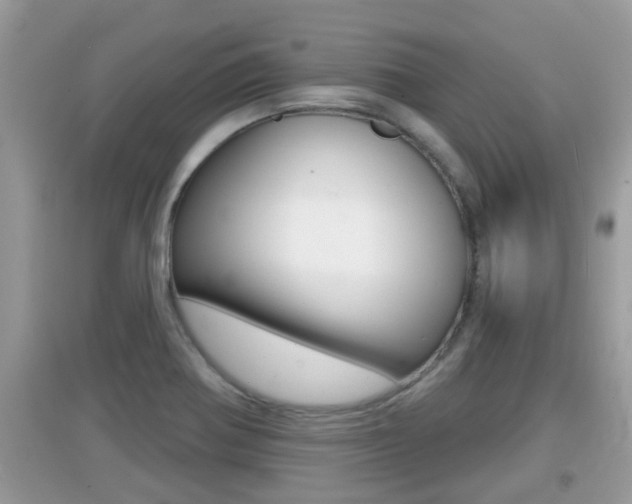 X0000095111370200712070909