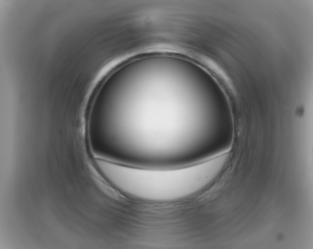 X0000095111372200712070909