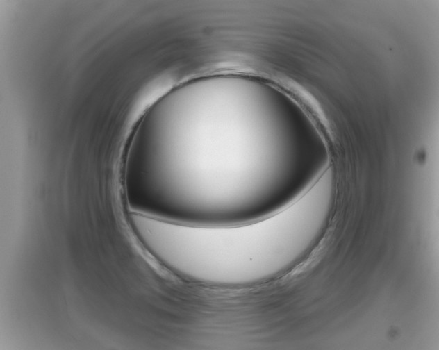 X0000095111373200712070909