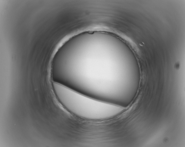 X0000095111374200712070909