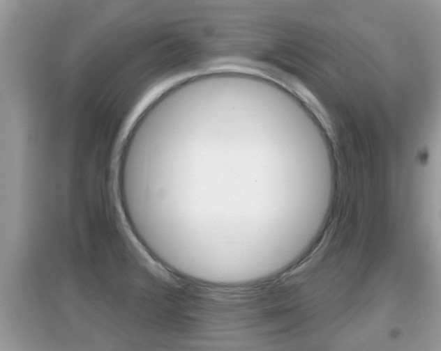 X0000095111376200712070909