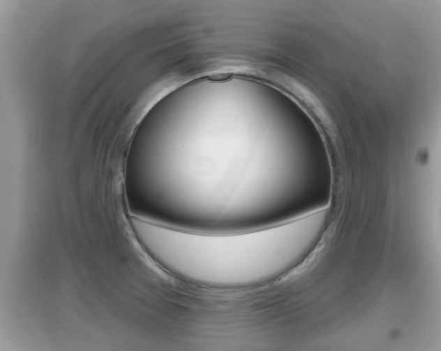 X0000095111377200712070909