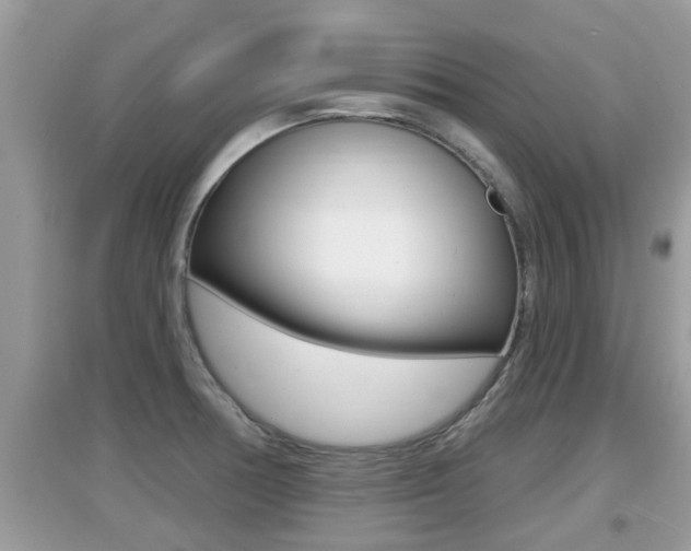 X0000095111378200712070909