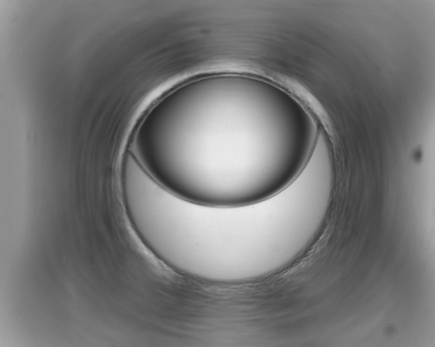 X0000095111380200712070909