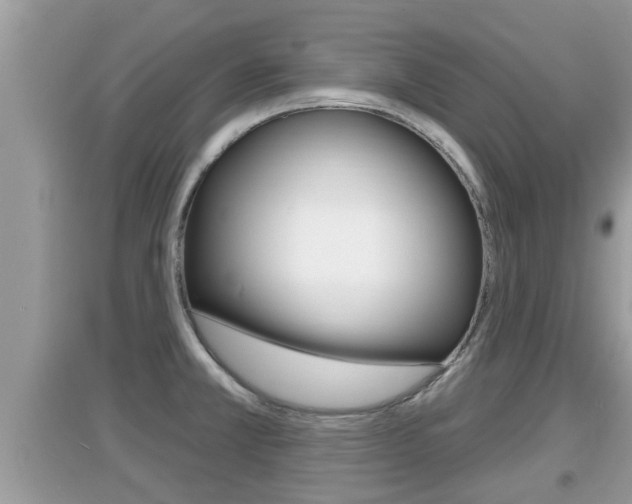 X0000095111381200712070909