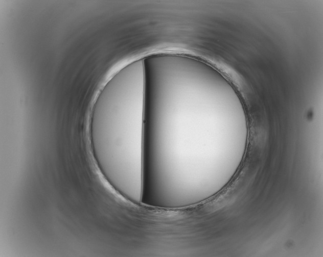 X0000095111382200712070909