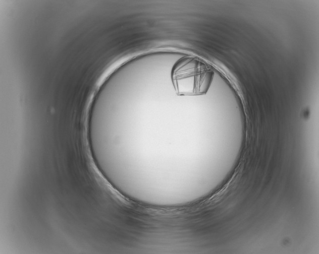 X0000095111384200712070909