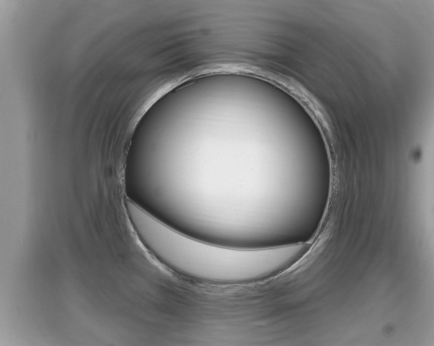X0000095111385200712070909