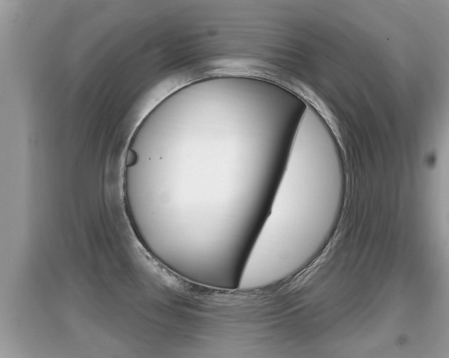 X0000095111386200712070909
