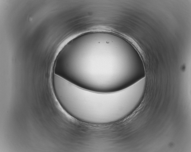 X0000095111387200712070909