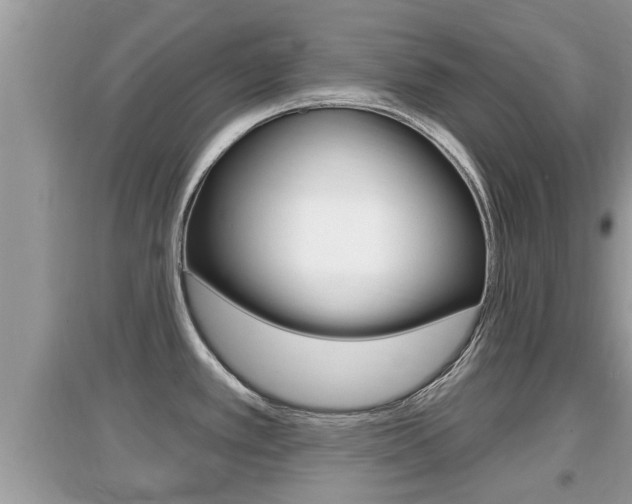 X0000095111389200712070909