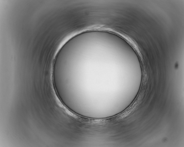 X0000095111390200712070909