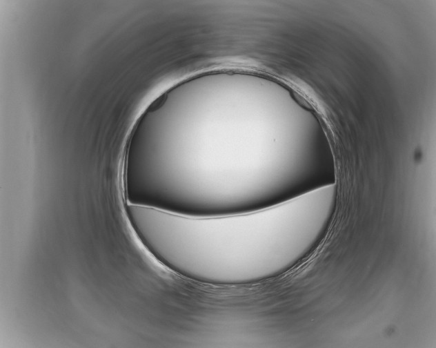 X0000095111391200712070909