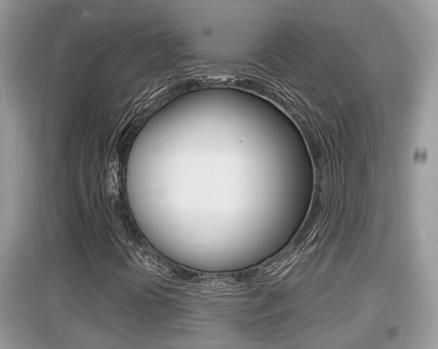 X0000095111394200712070908