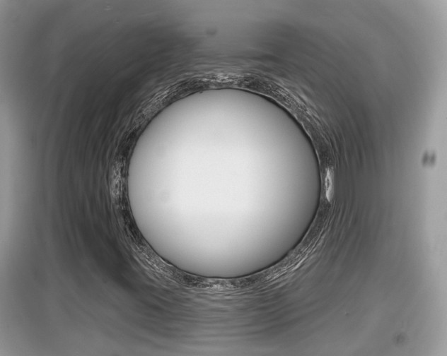 X0000095111395200712070908