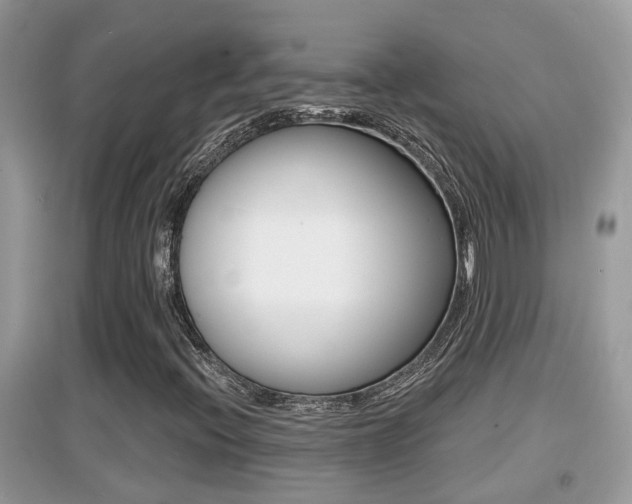 X0000095111396200712070908