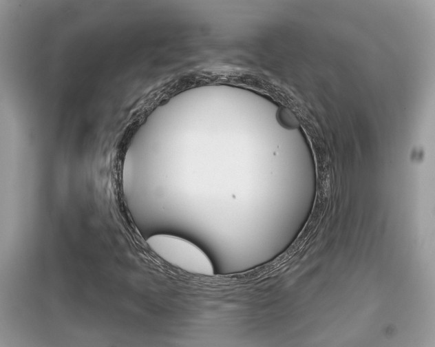 X0000095111397200712070908