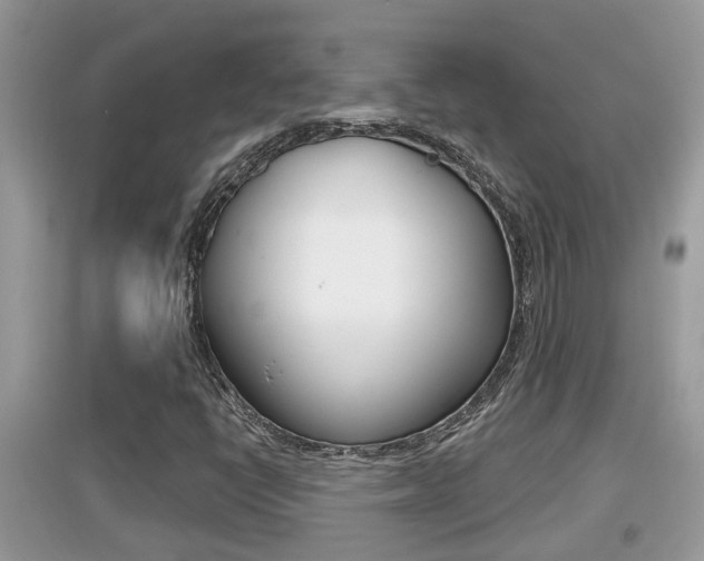 X0000095111398200712070908