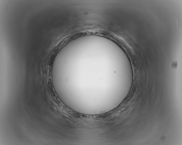X0000095111399200712070908