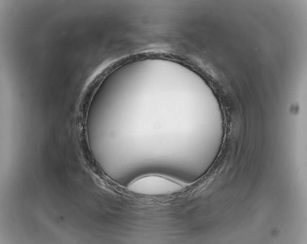 X0000095111400200712070908