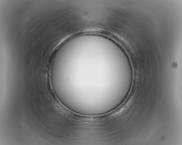 X0000095111401200712070908