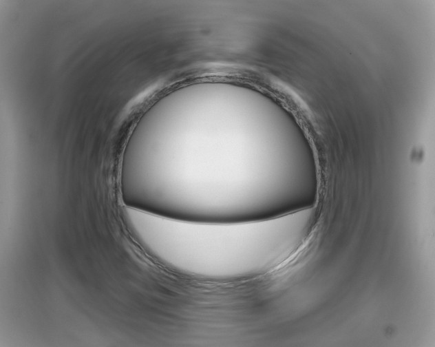 X0000095111403200712070908