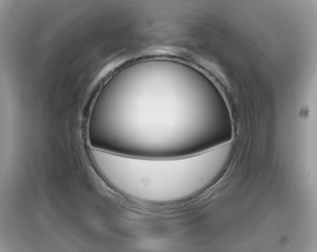 X0000095111404200712070908