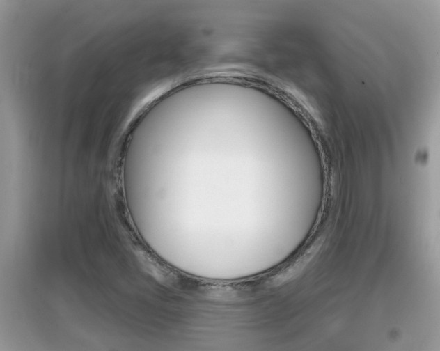 X0000095111405200712070908