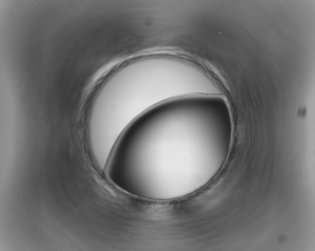 X0000095111406200712070908