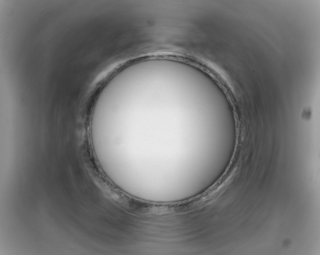 X0000095111407200712070908
