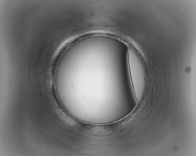 X0000095111408200712070908