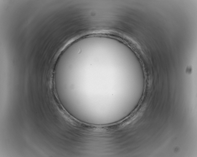 X0000095111409200712070908