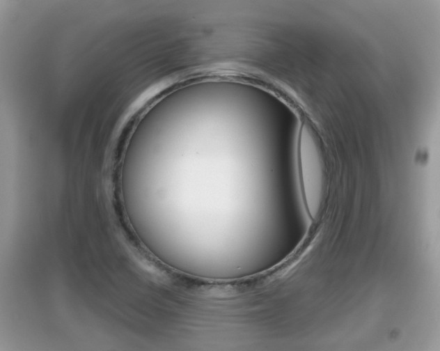 X0000095111410200712070908