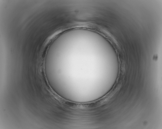 X0000095111411200712070908