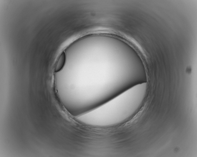 X0000095111413200712070908