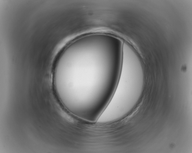 X0000095111414200712070908