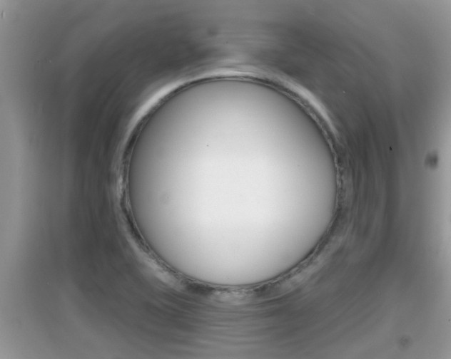 X0000095111415200712070908