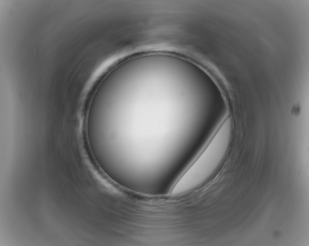 X0000095111416200712070908