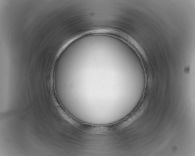 X0000095111417200712070908