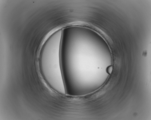 X0000095111418200712070908