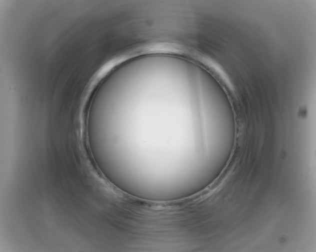 X0000095111419200712070908
