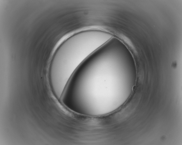 X0000095111420200712070908