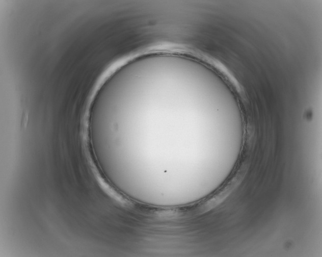 X0000095111421200712070908