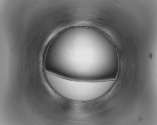 X0000095111422200712070908
